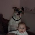 IMG-20181203-WA0049