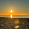 IMG-20240624-WA0060