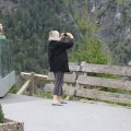 IMG 008