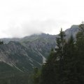IMG 016