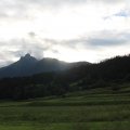 IMG 025