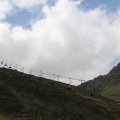 IMG 088