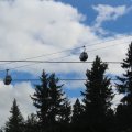 IMG 111