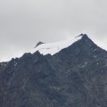 IMG 9342