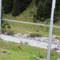 IMG 9368