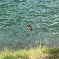IMG 9419