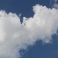 IMG 9439
