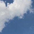 IMG 9441