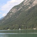 IMG 9446