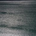 IMG 9466