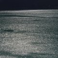 IMG 9469