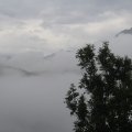 IMG 9487