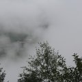 IMG 9490