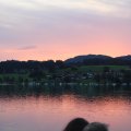 IMG 9518