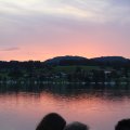 IMG 9519
