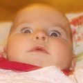 IMG_0646