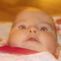 IMG_0647