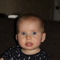 IMG_0884
