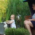 IMG_0913