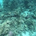 GOPR3872