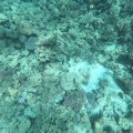 GOPR3874