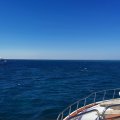 IMG_20190622_210231